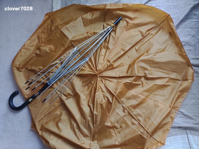 20210322_153323648_リメイク_傘_エコバッグ