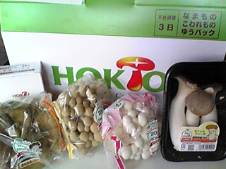 ホクト株主優待2009