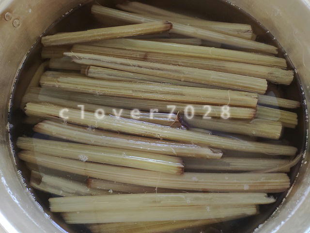 灰汁抜き中のフキ