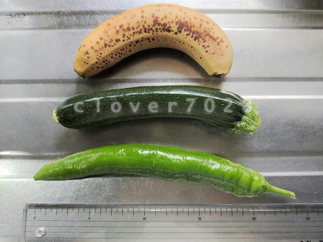 シシトウガラシ比較