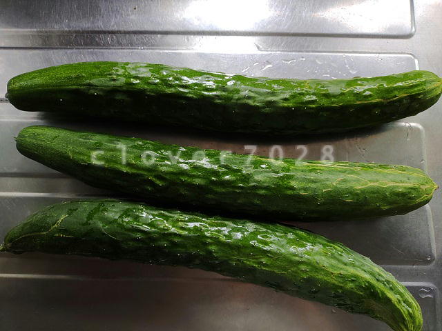 キュウリ巨大化